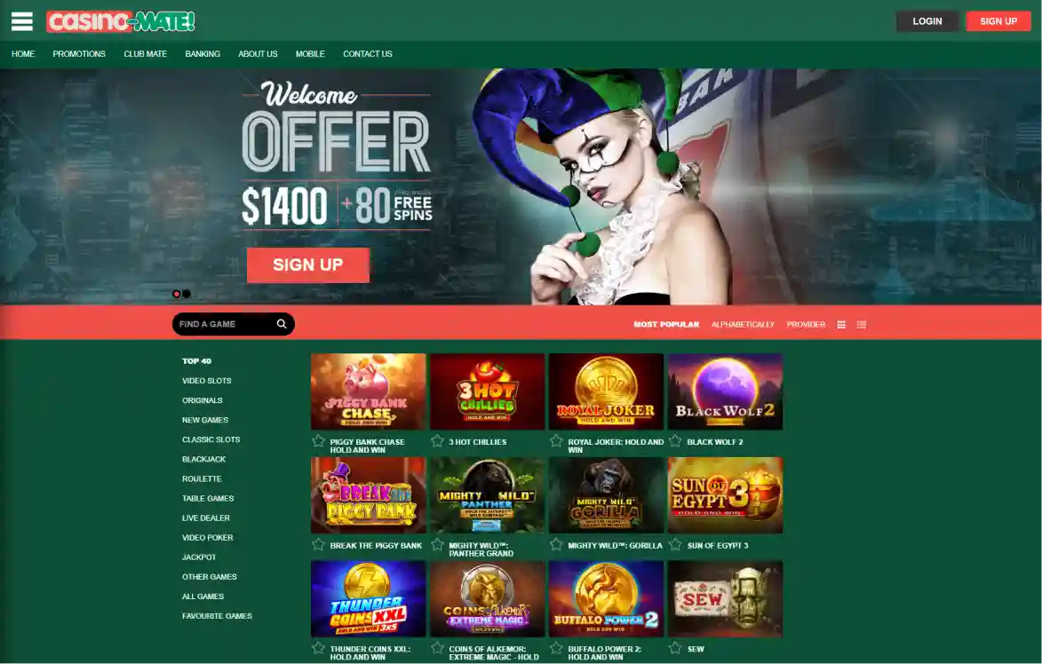 Casino Mate logo with classic online casino branding and green themed design